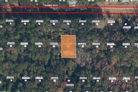 Land in Georgetown, Florida № 2160317 - photo 2