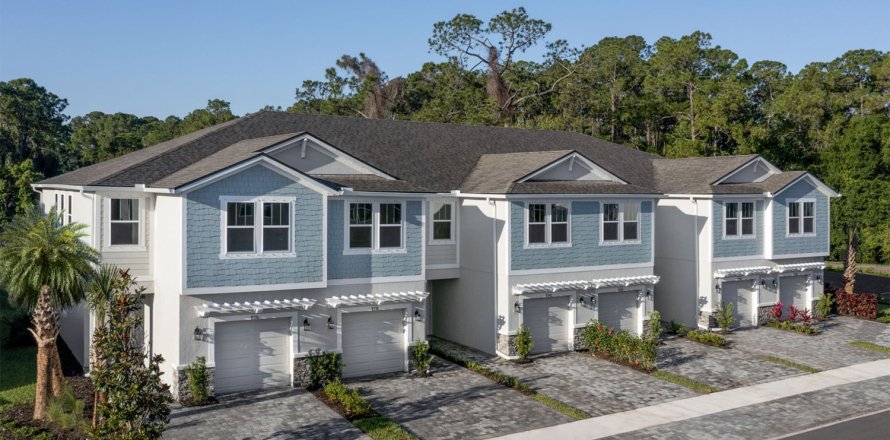 CITRON GROVE in Tampa, Florida № 26768