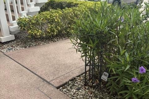 Condominio en alquiler en West Palm Beach, Florida, 2 dormitorios, 74.14 m2 № 2084892 - foto 17