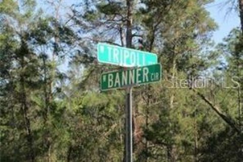 Terreno en venta en Dunnellon, Florida № 1808051 - foto 1
