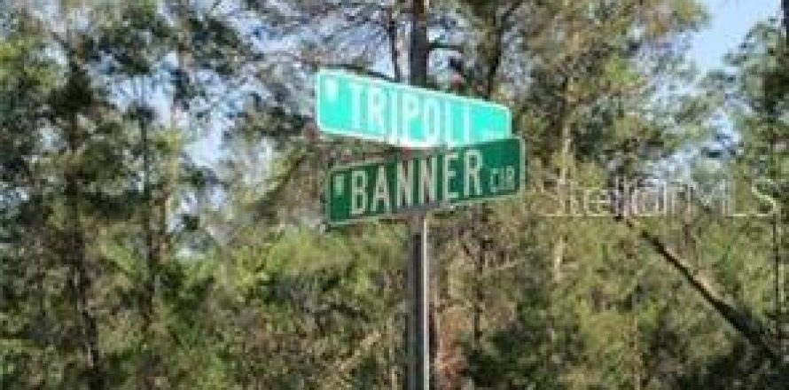 Terreno en Dunnellon, Florida № 1808051