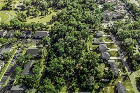 Land in DeLand, Florida № 2108355