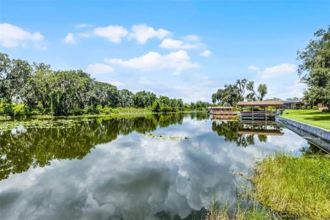 Villa ou maison à vendre à Fruitland Park, Floride: 3 chambres, 194.07 m2 № 1826680 - photo 30