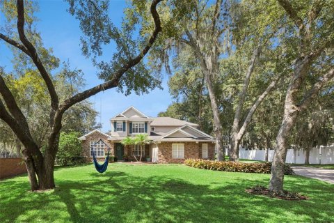 Villa ou maison à vendre à Apopka, Floride: 5 chambres, 349.59 m2 № 2313426 - photo 3