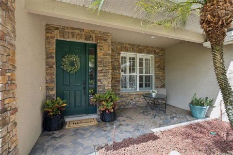 Villa ou maison à vendre à Apopka, Floride: 5 chambres, 349.59 m2 № 2313426 - photo 5