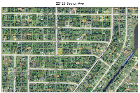 Land in Port Charlotte, Florida № 2163041 - photo 4