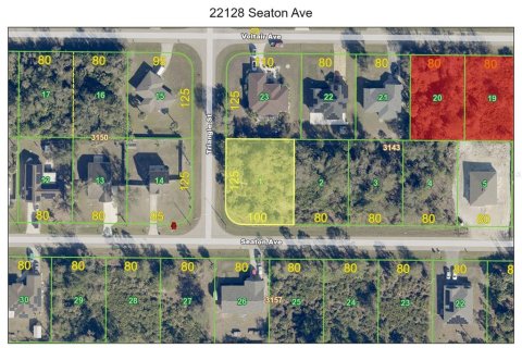 Land in Port Charlotte, Florida № 2163041 - photo 2