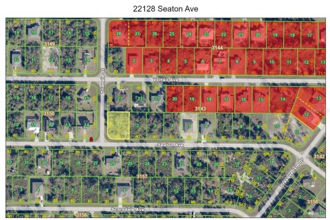 Land in Port Charlotte, Florida № 2163041 - photo 3