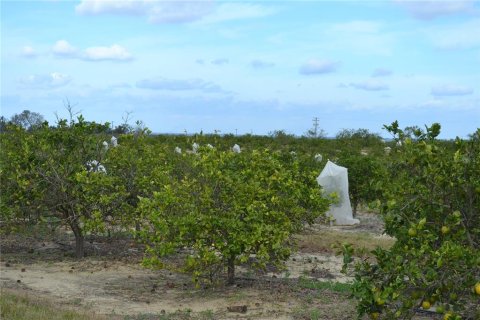 Land in Babson Park, Florida № 1635085 - photo 3