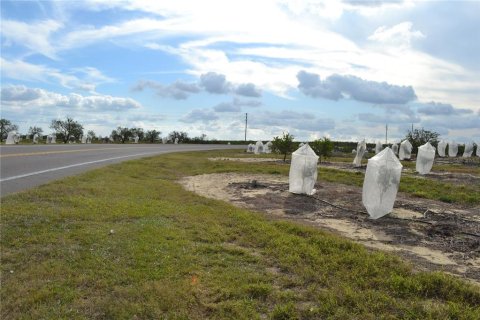 Land in Babson Park, Florida № 1635085 - photo 1