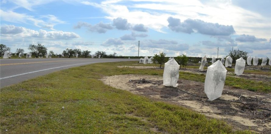 Land in Babson Park, Florida № 1635085