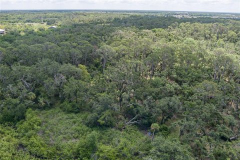 House in Parrish, Florida 5 bedrooms, 354.52 sq.m. № 1737117 - photo 26