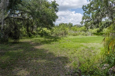 Villa ou maison à vendre à Parrish, Floride: 5 chambres, 354.52 m2 № 1737117 - photo 23