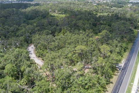 Casa en venta en Parrish, Florida, 5 dormitorios, 354.52 m2 № 1737117 - foto 29