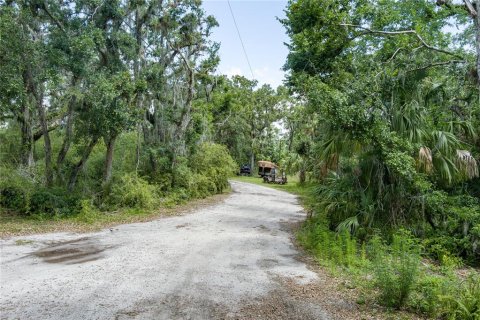 Casa en venta en Parrish, Florida, 5 dormitorios, 354.52 m2 № 1737117 - foto 14