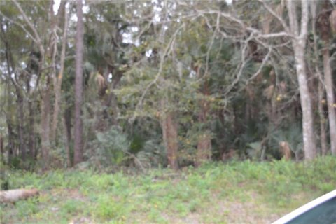 Terrain à Sanford, Floride № 2230858