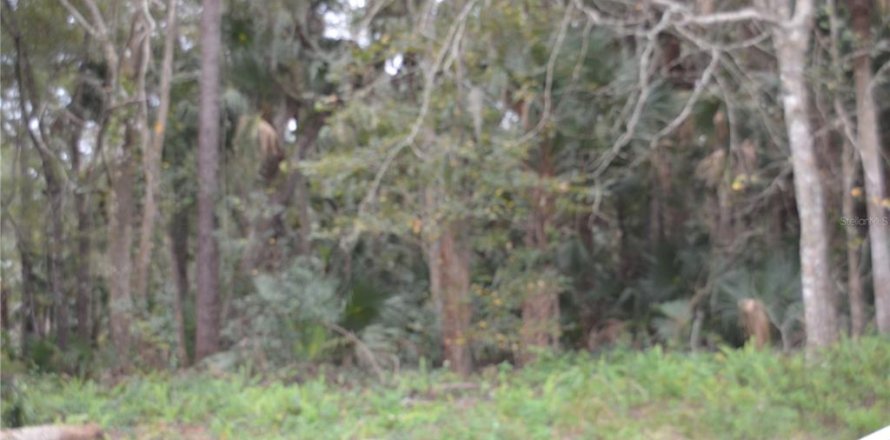 Terrain à Sanford, Floride № 2230858