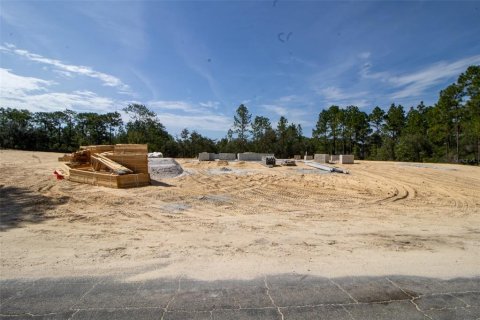 House in Beverly Hills, Florida 3 bedrooms, 204.38 sq.m. № 2317278