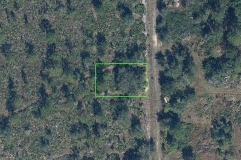 Land in Sebring, Florida № 2238802