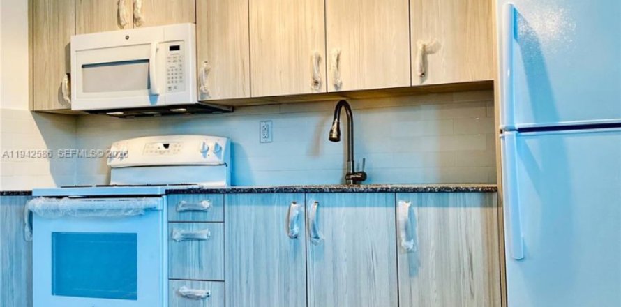 Studio in Miami, Florida № 2002680