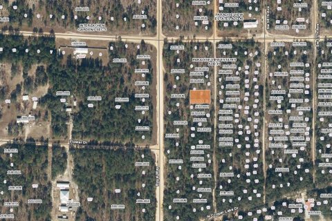 Terreno en Interlachen, Florida № 2212581