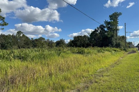Terreno en venta en Bartow, Florida № 2205725 - foto 21