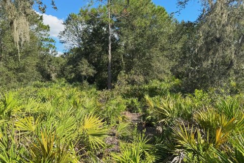 Terreno en venta en Bartow, Florida № 2205725 - foto 9