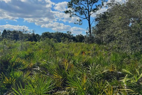 Terreno en venta en Bartow, Florida № 2205725 - foto 10