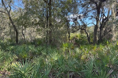 Terreno en venta en Bartow, Florida № 2205725 - foto 4