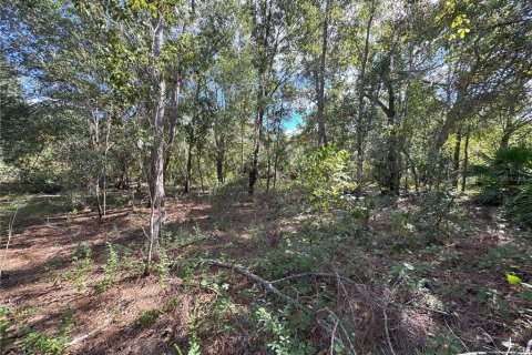 Terreno en venta en Bartow, Florida № 2205725 - foto 14