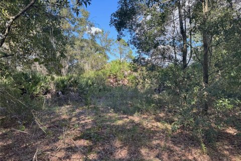 Terreno en venta en Bartow, Florida № 2205725 - foto 15
