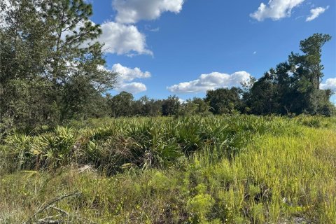 Terreno en venta en Bartow, Florida № 2205725 - foto 20