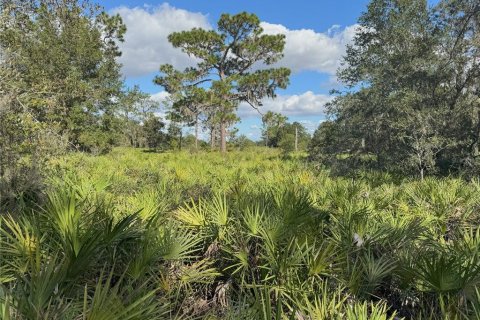 Terreno en venta en Bartow, Florida № 2205725 - foto 6