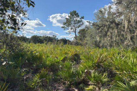 Terreno en venta en Bartow, Florida № 2205725 - foto 18