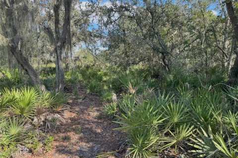 Terreno en venta en Bartow, Florida № 2205725 - foto 5