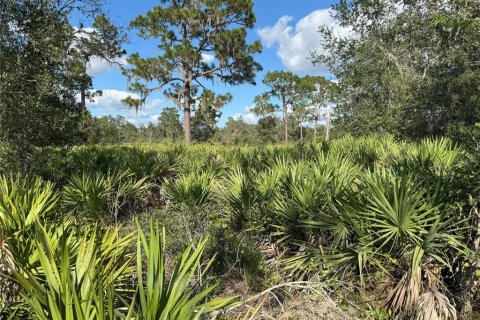 Terreno en venta en Bartow, Florida № 2205725 - foto 12