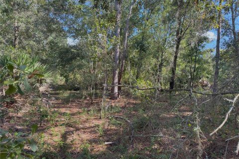 Terreno en venta en Bartow, Florida № 2205725 - foto 13
