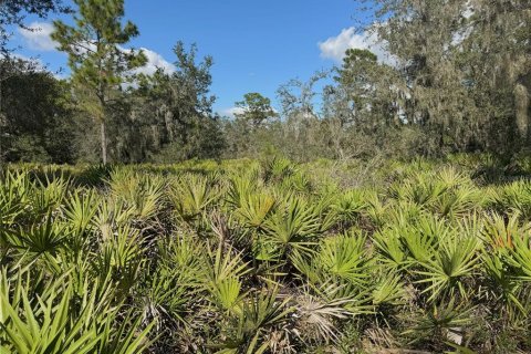 Terreno en venta en Bartow, Florida № 2205725 - foto 3