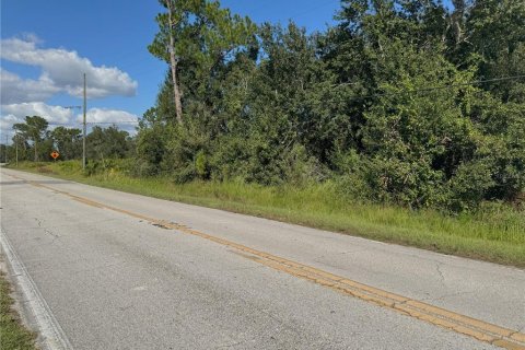 Terreno en Bartow, Florida № 2205725