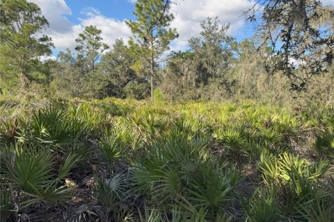 Terreno en venta en Bartow, Florida № 2205725 - foto 19