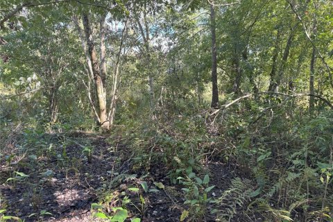 Terreno en venta en Bartow, Florida № 2205725 - foto 17