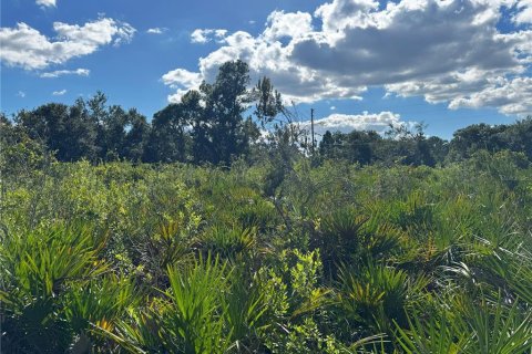 Terreno en venta en Bartow, Florida № 2205725 - foto 11