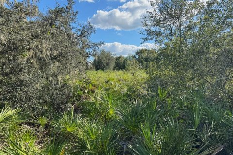 Terreno en venta en Bartow, Florida № 2205725 - foto 7