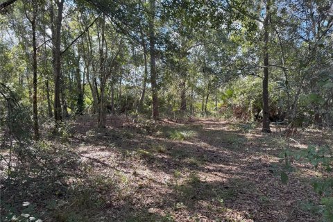 Terreno en venta en Bartow, Florida № 2205725 - foto 16