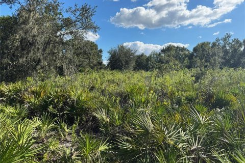 Terreno en venta en Bartow, Florida № 2205725 - foto 8