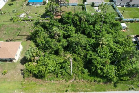Land in Port Charlotte, Florida № 2165994 - photo 5