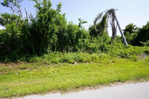 Land in Port Charlotte, Florida № 2165994 - photo 2