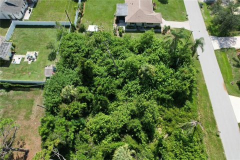 Land in Port Charlotte, Florida № 2165994 - photo 9