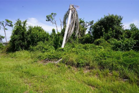 Land in Port Charlotte, Florida № 2165994 - photo 3