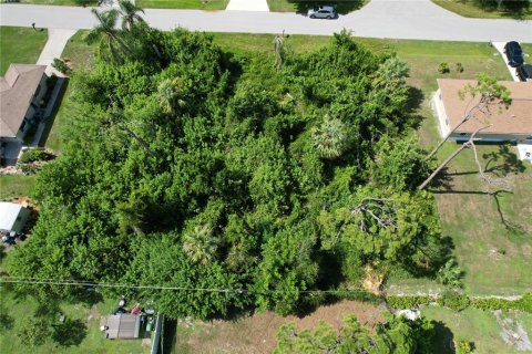 Land in Port Charlotte, Florida № 2165994 - photo 8
